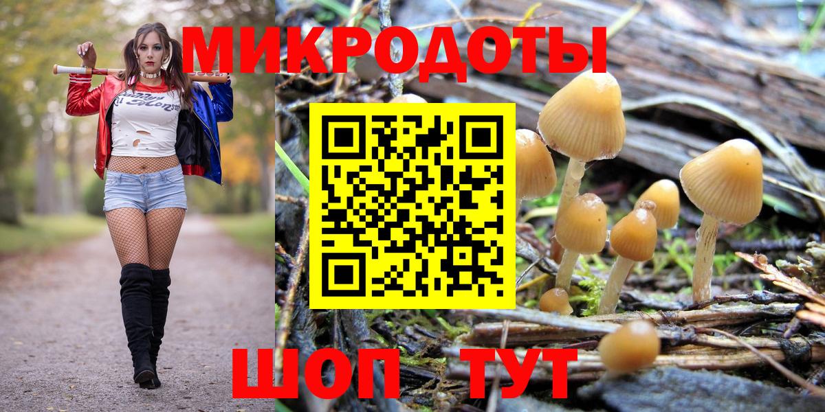 Анжеро-Судженск  Галлюциногенные грибы MAGIC MUSHROOMS  Вход с VPN 